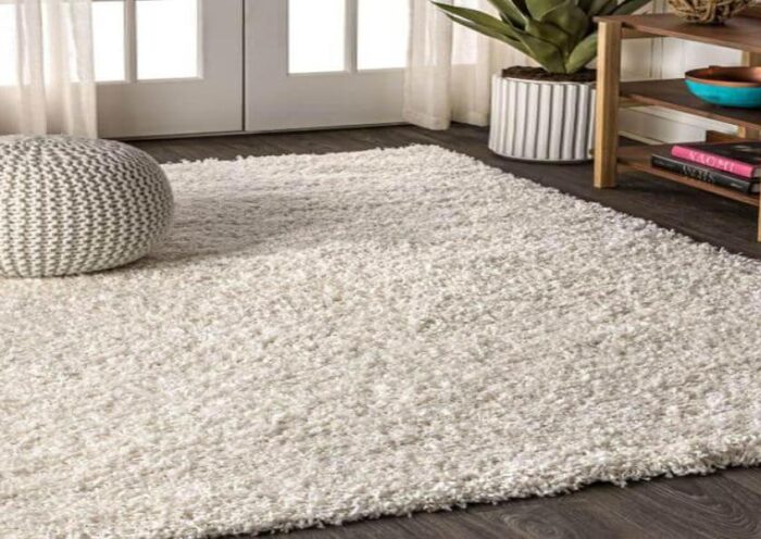 Are Area Rugs the Missing Piece to Transform Your Space