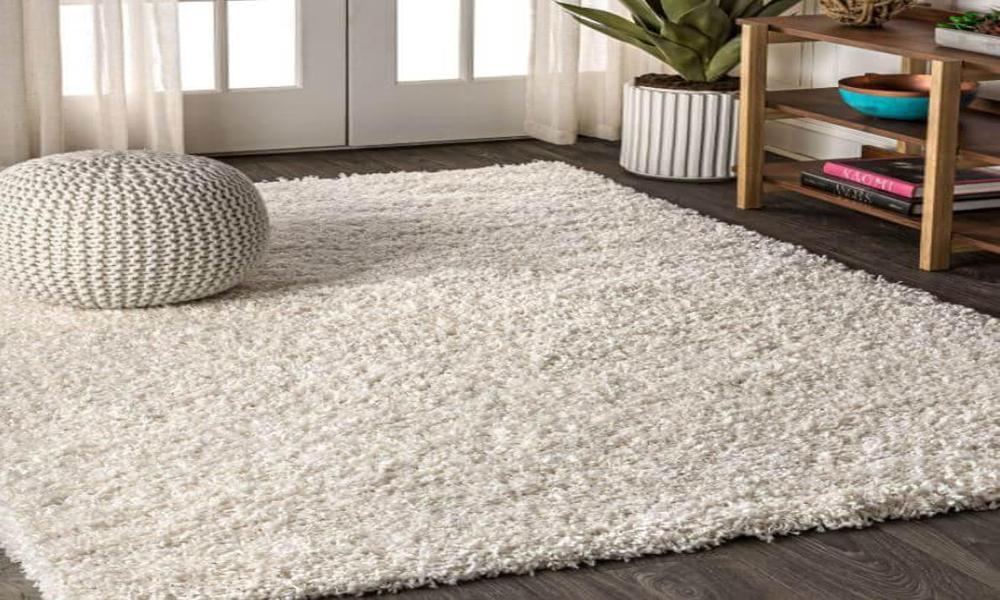 Are Area Rugs the Missing Piece to Transform Your Space