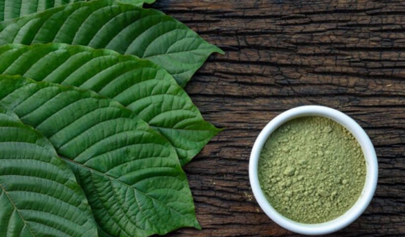 Kratom Powder