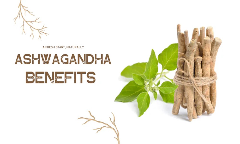 Ashwagandha & Emotional Balance: What Ayurveda Actually Says!